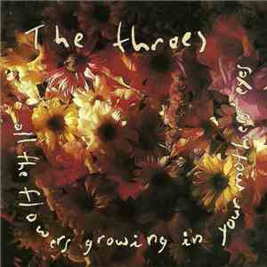 The Throes - All The Flowers Growing In Your Mother's Eyes mp3 album