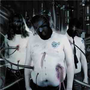 To Separate The Flesh From The Bones - Utopia Sadistica mp3 album