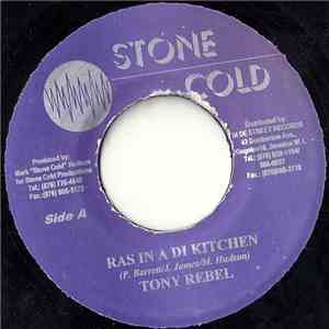 Tony Rebel - Ras In A Di Kitchen mp3 album