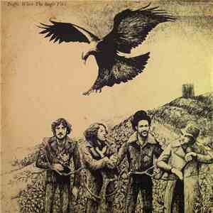 Traffic - When The Eagle Flies mp3 album