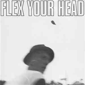 Various - Flex Your Head mp3 album