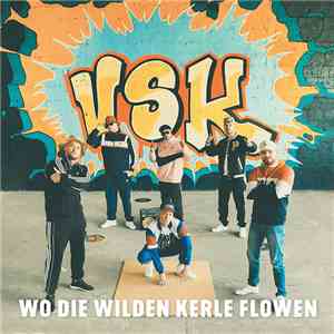 VSK  - Schönen Guten Tag mp3 album