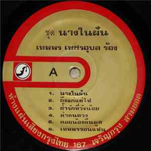 เทพพร เพชรอุบล - นางในฝัน mp3 album