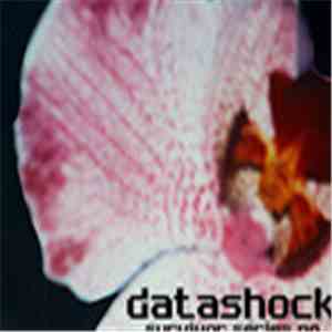 Datashock - Die Frage Ist Wann Es Absurd Wird mp3 album