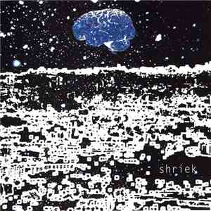dummy-xD - Shriek mp3 album