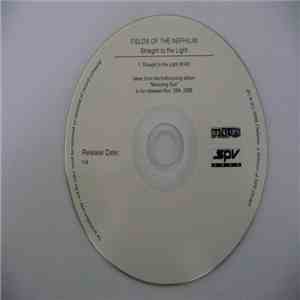 Fields Of The Nephilim - Straight To The Light mp3 album