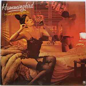 Hummingbird - We Can't Go On Meeting Like This mp3 album