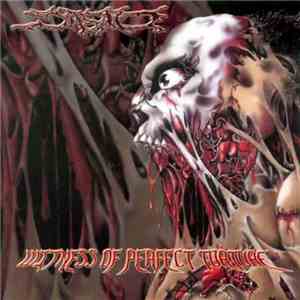 Jasad - Witness Of Perfect Torture mp3 album