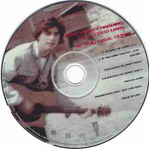 John Wesley Harding - If You Have Guns mp3 album