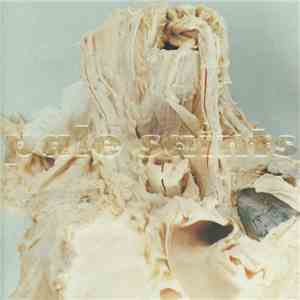 Pale Saints - In Ribbons mp3 album