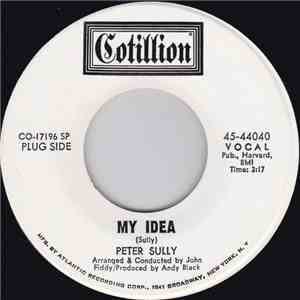 Peter Sully - My Idea / Evil Woman mp3 album