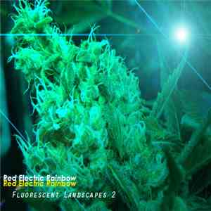 Red Electric Rainbow - Fluorescent Landscapes: Volume 2 mp3 album