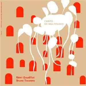 Rémi Gaudillat / Bruno Tocanne - Canto De Multitudes mp3 album