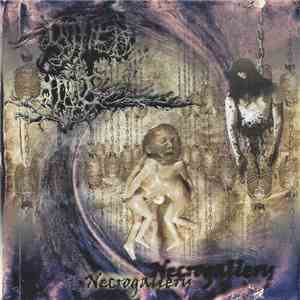 Rotten Minds - Necrogallery mp3 album