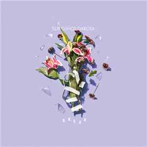 Slingshot Dakota - Break mp3 album