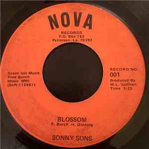 Sonny Sons - Blossom / Red Red Wine mp3 album