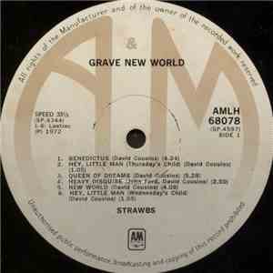Strawbs - Grave New World mp3 album