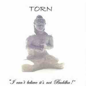 Torn  - I Can't Believe It's Not Buddha! mp3 album