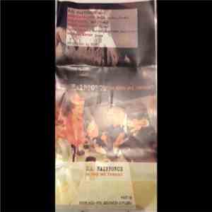 U.S Hairforce - In God We Thrust mp3 album