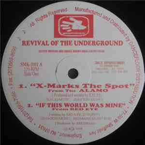 Various - Revival Of The Underground mp3 album