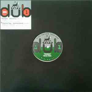 Vibronics, Gamma Sound - Rumpus / Channel Two mp3 album