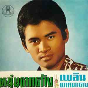 เพลิน พรหมแดน - หนุ่มตกค้าง mp3 album