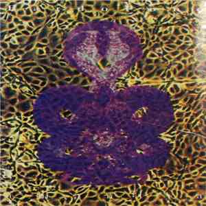 Bardo Pond - Amanita mp3 album