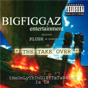 Bigfiggaz Entertainment - Presents: The Take Over mp3 album