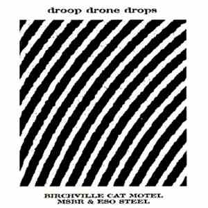 Birchville Cat Motel / MSBR & Eso Steel - Droop Drone Drops mp3 album