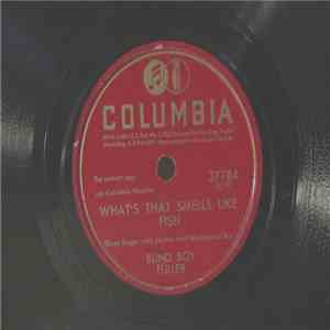 Blind Boy Fuller - What's That Smells Like Fish / Get Your Yas Yas Out mp3 album