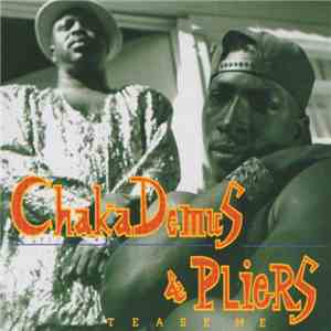 Chaka Demus & Pliers - Tease Me mp3 album