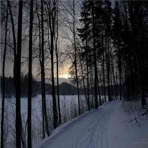 Coax  - The Ice Garden mp3 album