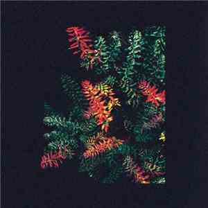 Dark Sky  - Othona mp3 album