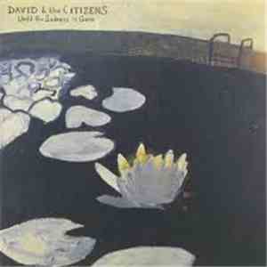 David & The Citizens - Until The Sadness Is Gone mp3 album