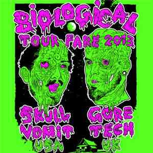 Dj Skull Vomit / Gore Tech - Methlab Promo Mix 2 - Biological Tour​-​Fare 2013 mp3 album