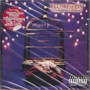 Fluorescein - High Contrast Comedown mp3 album
