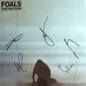 Foals - What Went Down mp3 album