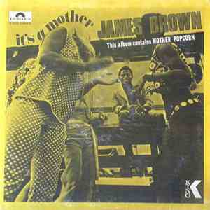 James Brown - It's A Mother mp3 album