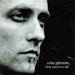 Mike Johnson  - What Would You Do mp3 album