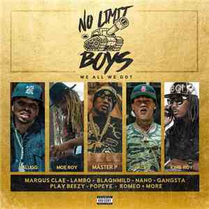 No Limit Boys - We All We Got mp3 album