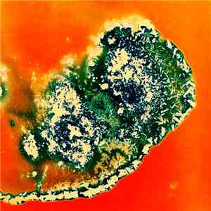 Psychostimulant - Microdosing a Lethal Substance mp3 album