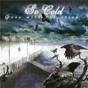 So Cold - Gone With The Storm mp3 album