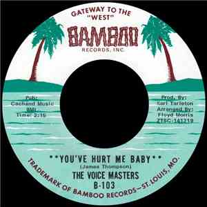 The Voice Masters - You've Hurt Me Baby mp3 album