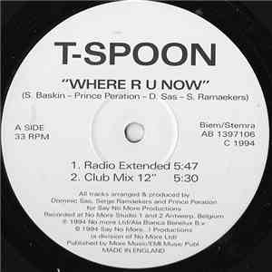 T-Spoon - Where R U Now mp3 album