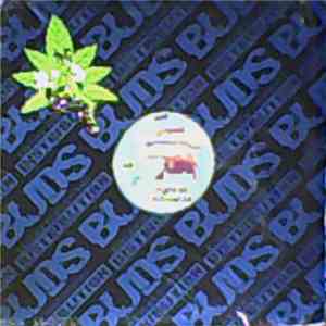 Unknown Artist - Disc Jockey's Delight mp3 album