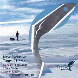 Various - New Exclusive Tunes 01 mp3 album