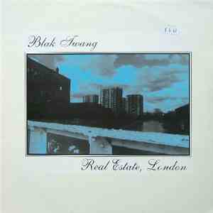 Blak Twang - Real Estate mp3 album