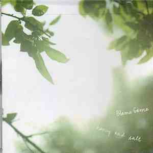 Blame Game - Honey And Salt mp3 album