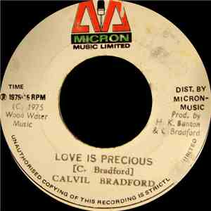 Calvil Bradford - Love Is Precious mp3 album