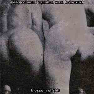 Cannibal Meat Holocaust / Sleep Column - Blossom Of Shit mp3 album
